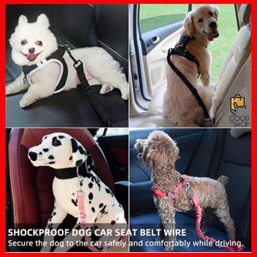 Pawsafe seat belt amazon Clearance