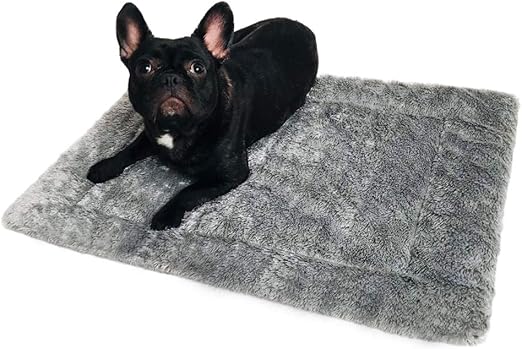 the range pet beds