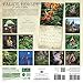 Faerie Houses 2016 Calendar