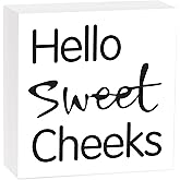 Hello Sweet Cheeks Wooden Box Sign, Hello Sweet Cheeks Bathroom Decor, Funny Bathroom Shelf Decor Wall Decor Bathroom Signs, White