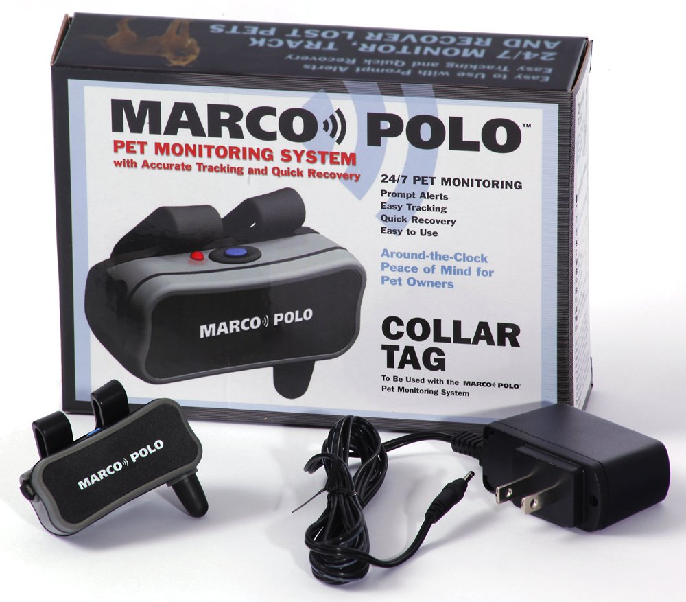 Collar Tag Accessory For Marco Polo Pet Monitoring/Tracking And Locating System 17 61iKuWODJkL