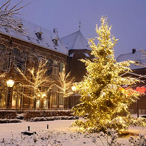 Aifulo 20m warm White solar Light,8 Modi Solar Lichterketten, wasserdichte Kupferdraht Lichterketten, tragbare Indoor Outdoor dekorative Lichterketten für Patio, Garten, Hochzeit, Party, Festival,Baum