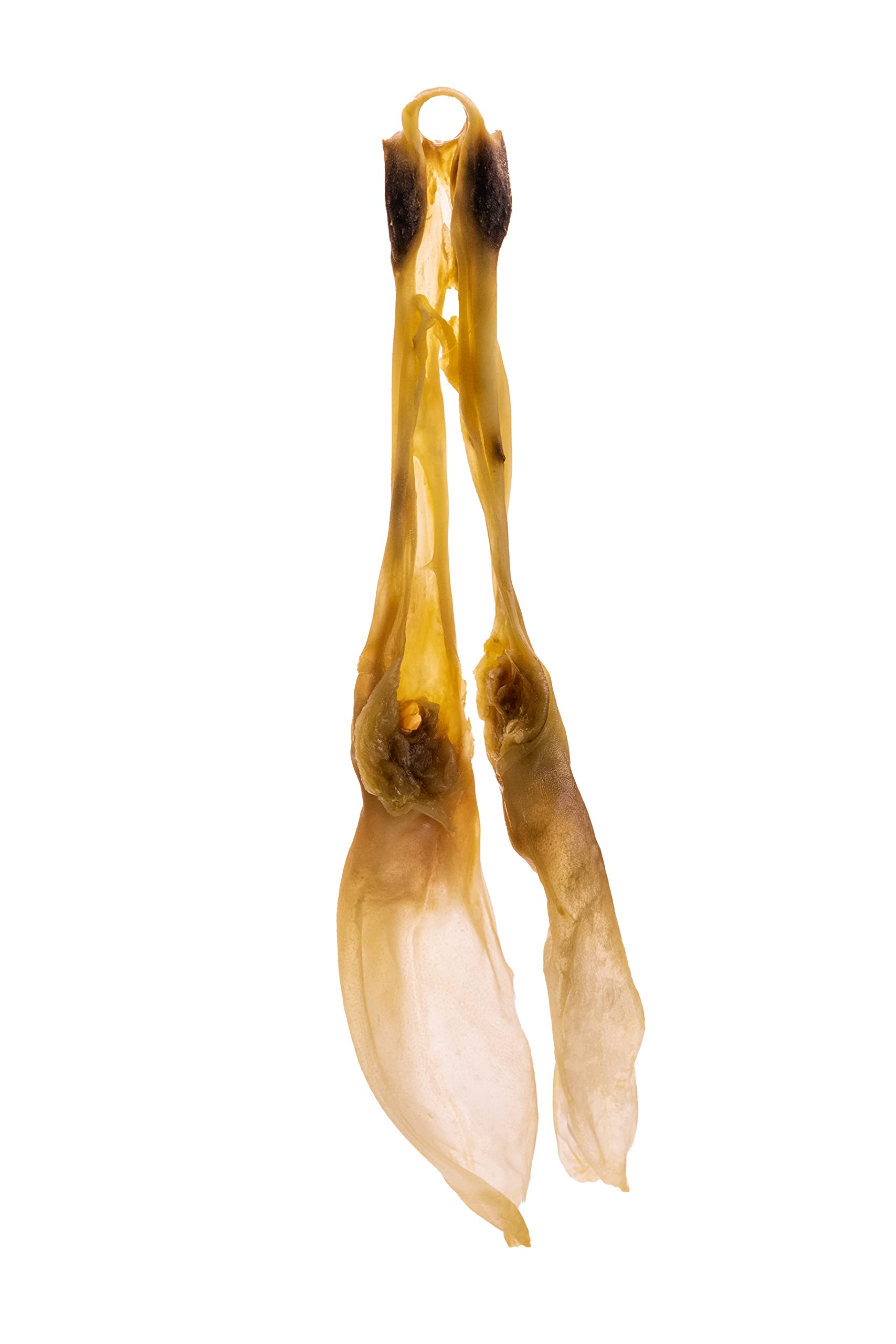 Doodles Deli Air Dried Rabbit Ears 1kg