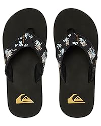 Quiksilver Men's Monkey Abyss Beach & Pool