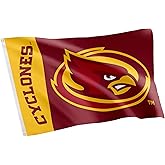 Desert Cactus Iowa State University Flag Cyclones ISU Banners 100% Polyester Indoor Outdoor 3x5 feet Flags (Team Name)