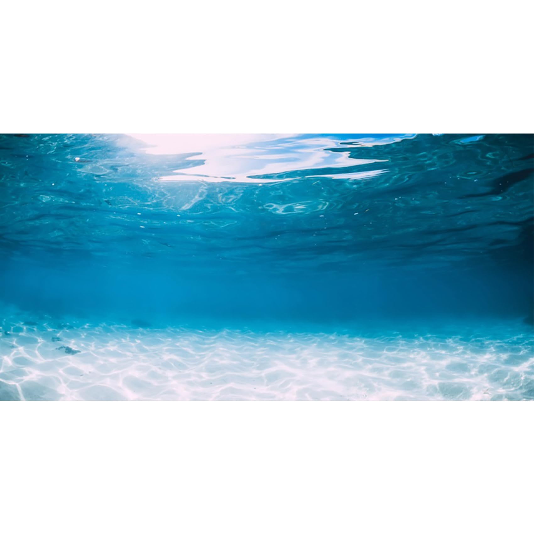 MIRRORANG 180x61cm Underwater World Fish Tank Poster Background Ocean Floor Aquarium Background Decoration for Fish Tank