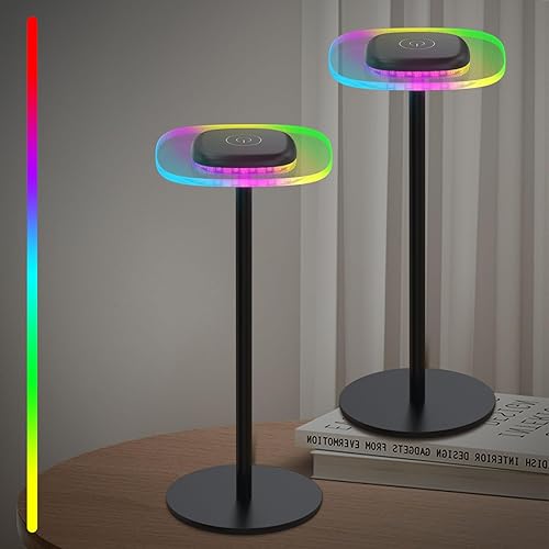 ERAY Rechargeable Table Lamp Cordless with RGB Color Changing - Small Cordless Touch Light with Memory Function, Dimmable Battery Bedside Lamp for Bedroom Dining Patio Party Restaurant Bar, 2 Pack