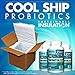 Saccharomyces Boulardii + MOS, 5 Billion Organisms Per Cap, Enhances Support to Intestinal Tract, 180 Count (Cool Ship, Pack of 3)