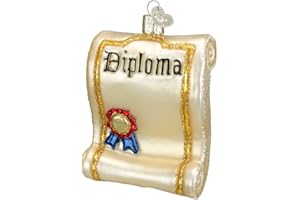 Old World Christmas Teacher Gifts Blown Ornaments for Christmas Tree Diploma Glass
