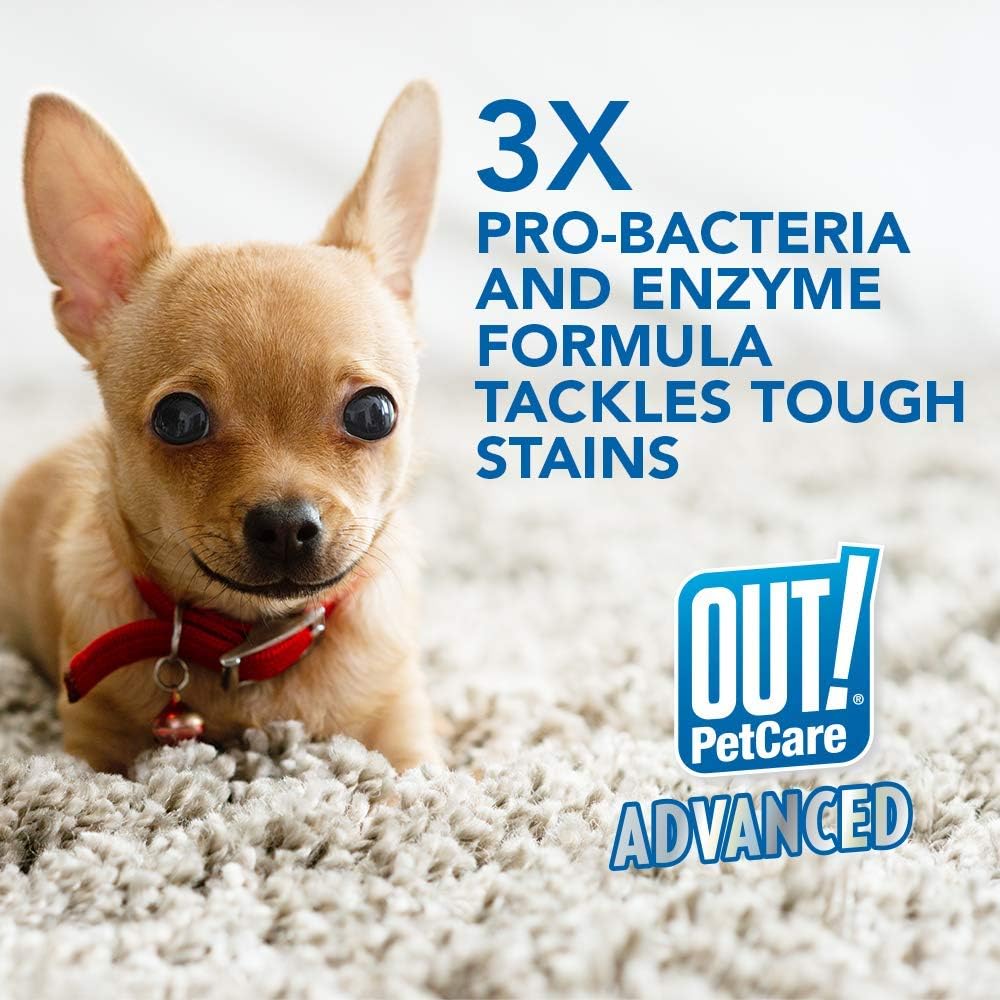 OUT! PetCare Advanced Stain and Odor Remover | Pro-Bacteria and Enzyme Formula for Tough Stains and Odor | 32 oz (Pack of 2) : Pet Supplies