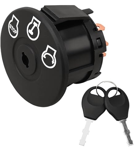 Amazon.com : Rotary Plunger Switch Replaces MTD 725-04807 & Cub