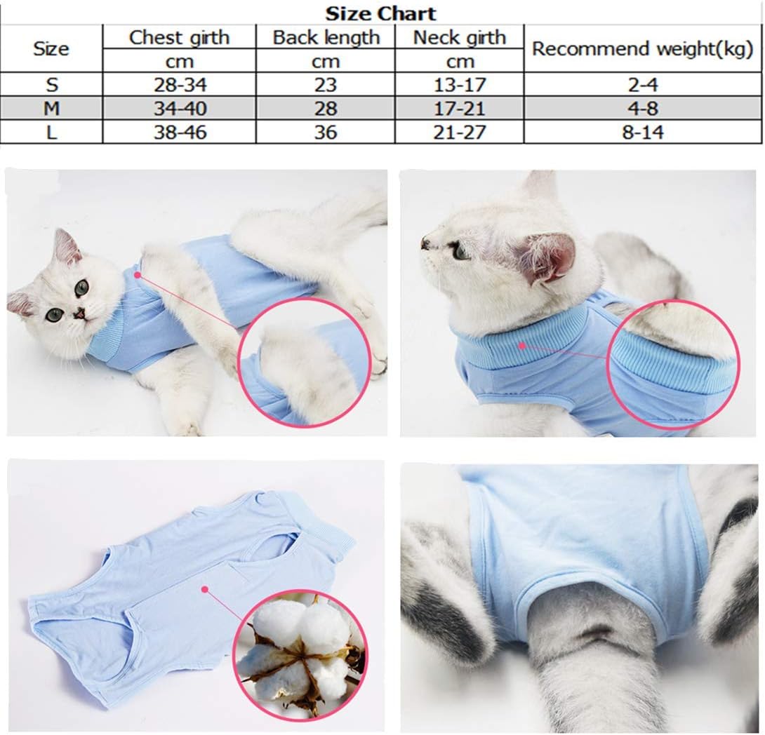 Victorie Chat Vetement De Recuperation Operatoire Gilet Blessures Medical Protection Anti Lecher Pour Chien Chat Petit Animaux S Amazon Fr Animalerie