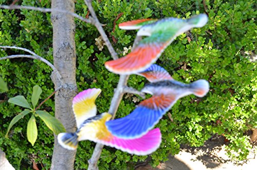 Balancing Bird Toy 6.5 Inch Wing Span-Colors May Vary By C&H Solutions