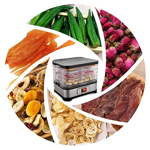 image for Hauture Food Dehydrator Machine, Digital Timer and Temperature Control