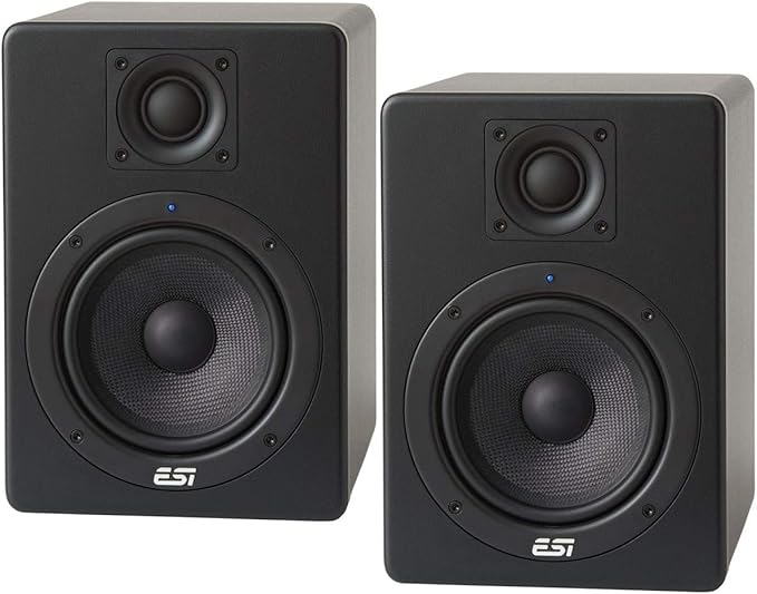 ESI Aktiv05 - Monitor de campo cercano activo (1 par): Amazon.es: Instrumentos musicales
