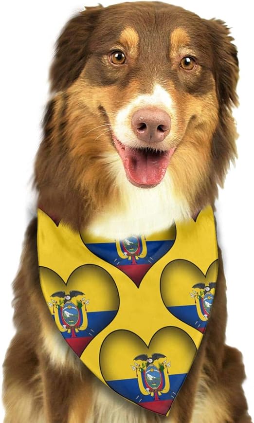 accesorios perros amazon