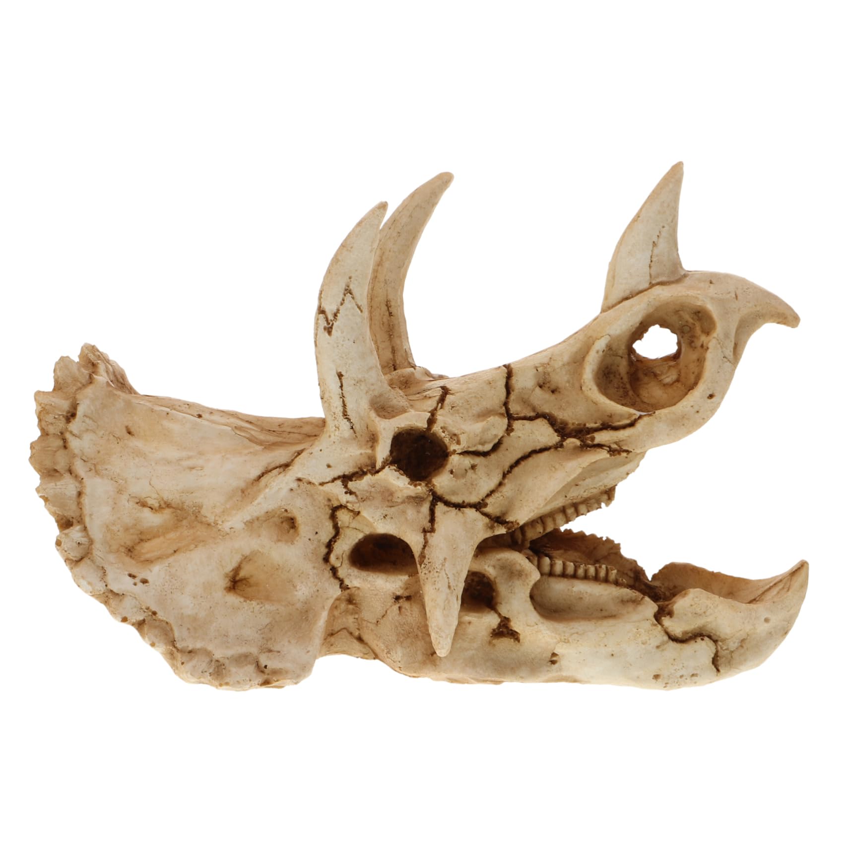 COLLBATH Resin Dinosaur Skull Hideout Cave for Bearded Dragons Realistic Aquarium Décor and Halloween Fish Tank Ornament Ideal Reptile Hideaway Accessory for Terrarium Decor