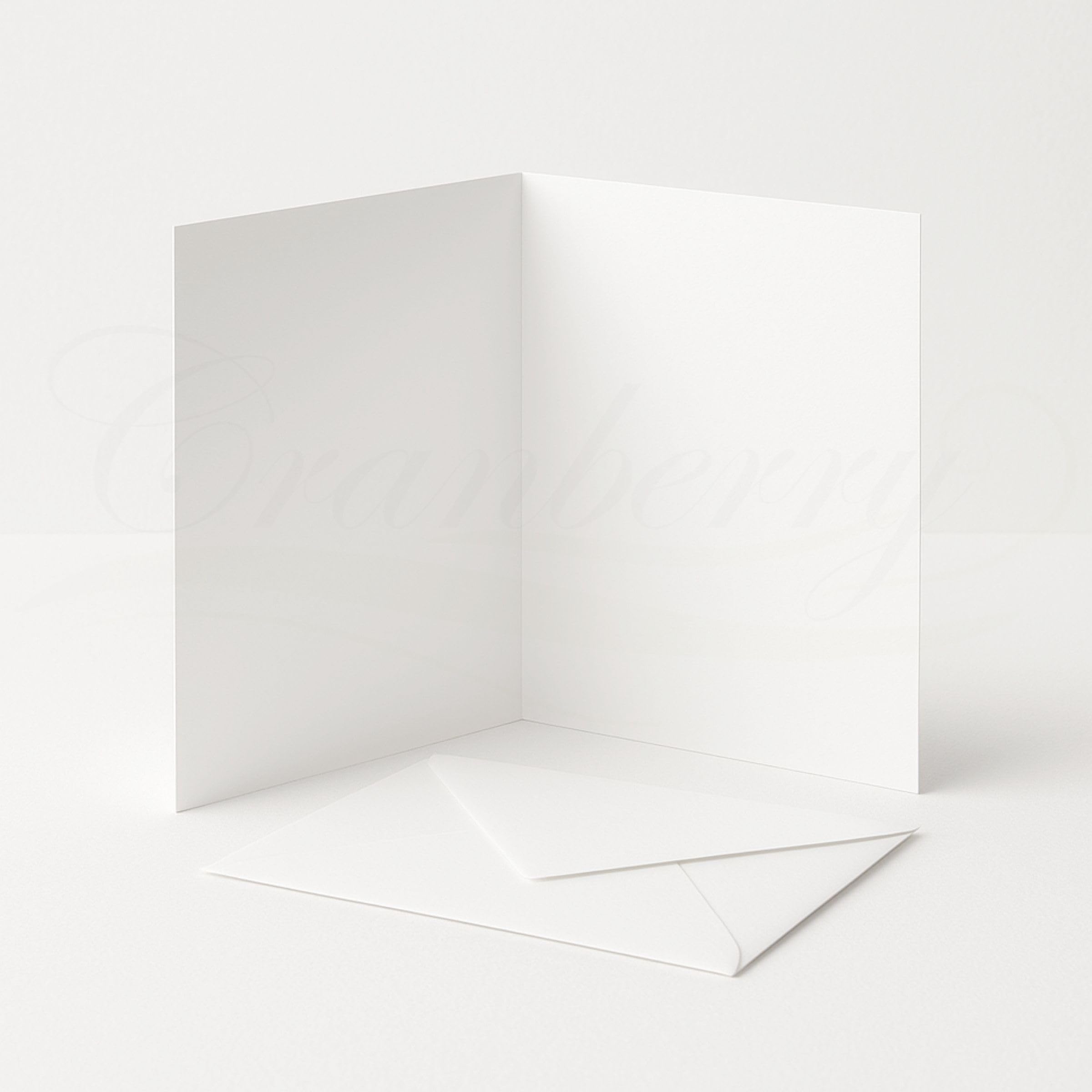 25 Pack - A6 White Card Making Set - A6 Blank 300gsm Cards with Matching C6 White Envelopes - Premium Blank Greeting Cards for Craft, Invitations & DIY Projects