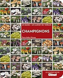 Champignons