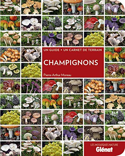 Champignons