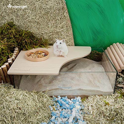 Niteangel Animal SandBath Box Acrylic Critter's Sand Bath Shower