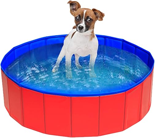 puppy paddling pool