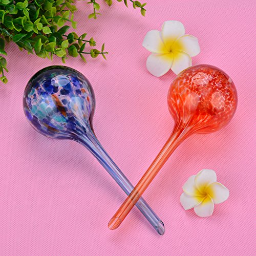 3 Watering+Globes+Fascigirl+Plant+Automatic