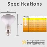 DERNORD 100W Reptile Heat Lamp E27 Build Pack 2 Daylight Bulbs Vivarium view 2