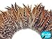 Rooster Feathers, 4 Inch Strip Red Chinchilla Strung Rooster Neck Hackle Feathers