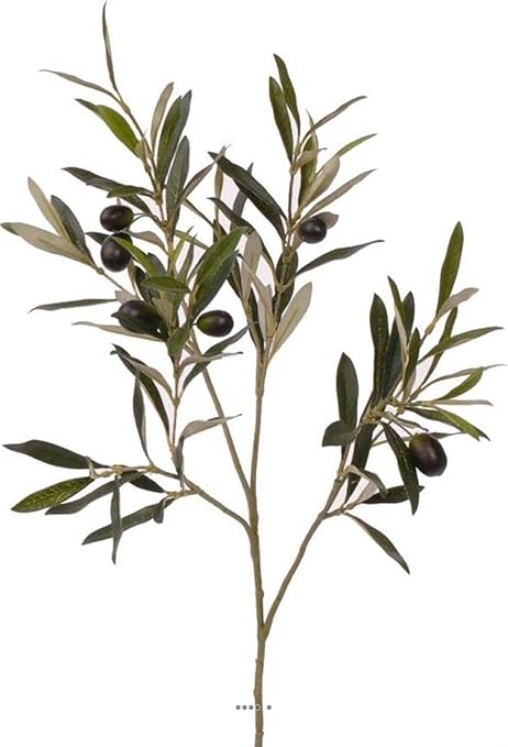 Artificielles Ramoscello Di Ulivo Artificiale Altezza 50 Cm 104 Foglie 6 Olive Amazon It Casa E Cucina