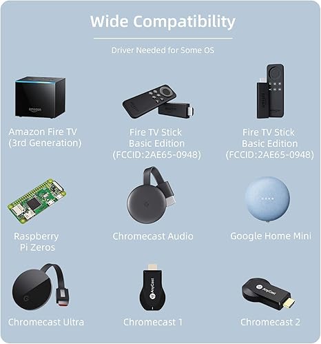 google home mini fire stick