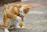 Petface Feather Tail Mice Plush Cat Toy Pack of 2 with Catnip view 7