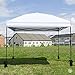 Punchau Pop Up Canopy Weights - Set of 4 Weight Bags, Includes 4 Stakes - Waterproof Leg Weights for Canopy Shade Tents