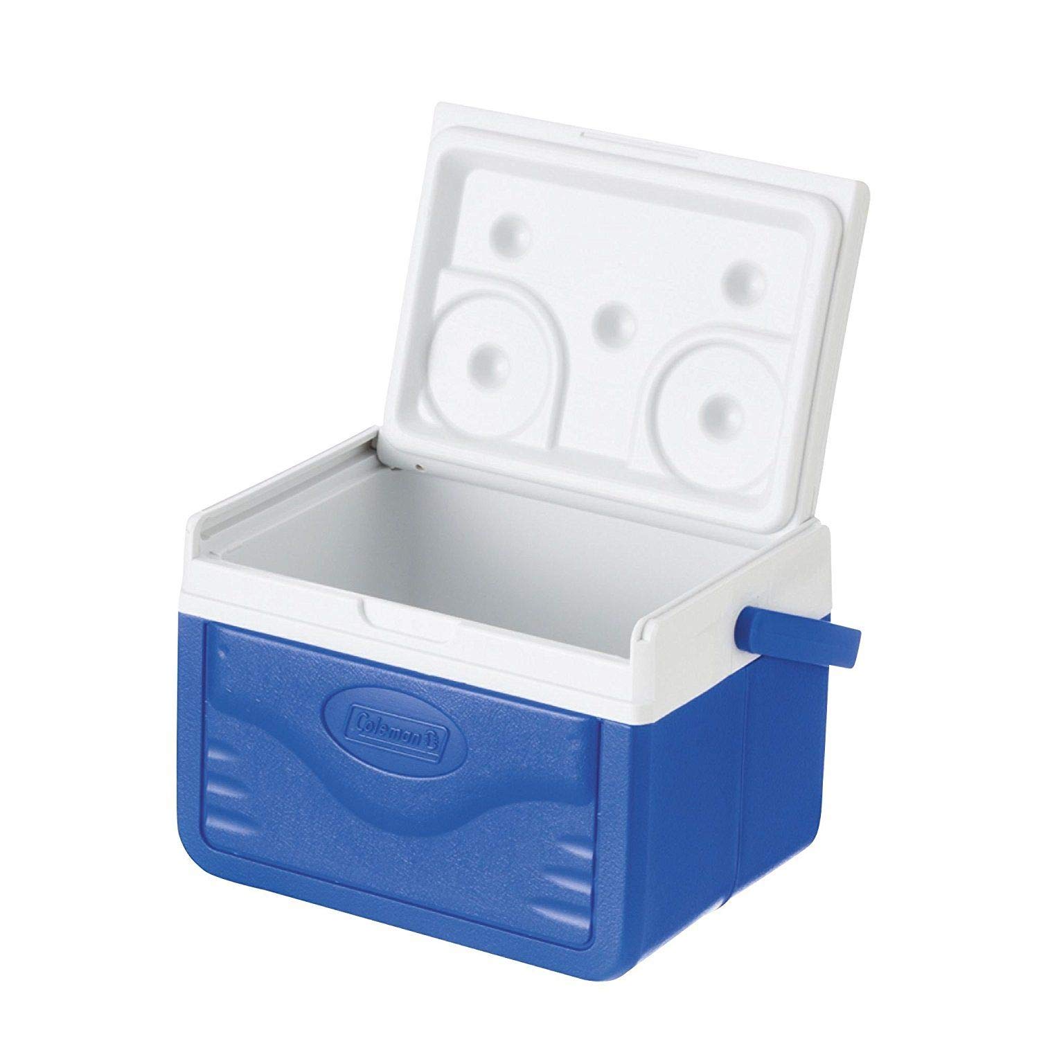 ice box with reversible lid