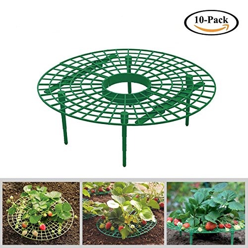 Growsun Strawberry Supports Keeping Fruit Elevated to Avoid Ground Rot,10 Pack