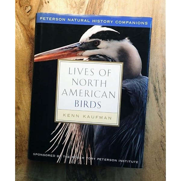 Amazon.com: Jeffrey Whiting's Owls of North America (Whiting's
