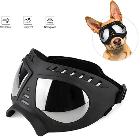dog wind goggles