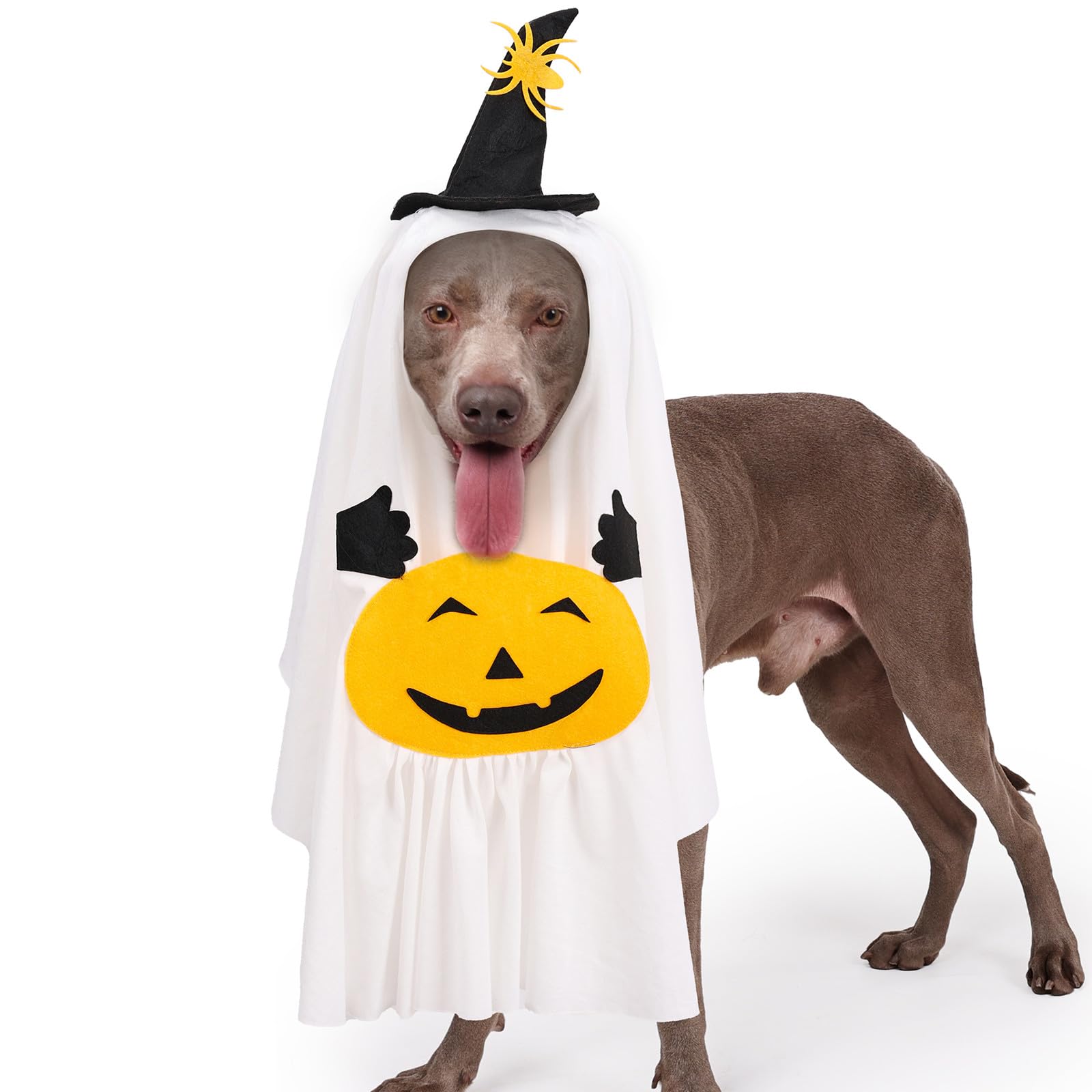 BT Bear Pet Halloween Costume,Pumpkin Ghost Cloak Dog and Cat Halloween Cloak Holiday Dress Up Cosplay Costumes(White,M)