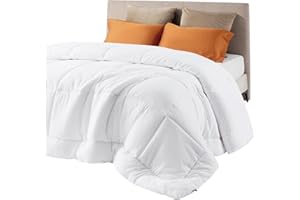 Bedsure Comforter Duvet Insert - Quilted Comforters Queen Size, All Season Duvet, GentleSoft Down Alternative Bedding Blanket, with 8 Tabs, Gifts for Women/Men, White, Queen 88 x 88 Inches