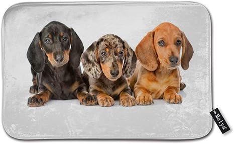 Amazon かわいいソーセージ犬子犬一緒に横たわってオールシーズン屋内屋外ウェルカム玄関マット簡単クリーンエントリーマット40x60cm 玄関マット オンライン通販