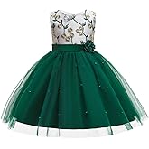 3M-9T Baby Girls Flower Dress Embroidery Paqeant Party Wedding Lace Dresses
