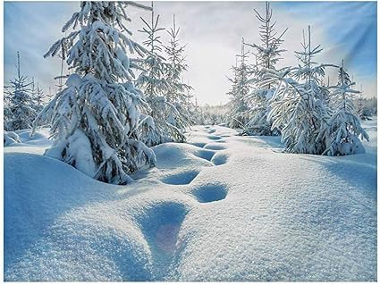 Amazon Com Scottdecor Winter Aquarium Background Winter Landscape With Forest And Blue Sky Frosted Trees Footprints Seasonal Nature Decals Sticker Blue White W48 X L18 Inch Pet Supplies