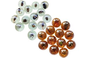 BETENSH Multiple Psc Spherical Insect Amber Fossil, Spherical Luminous Insect Specimen, Educational and Scientific Amber Collection (8Pcs)