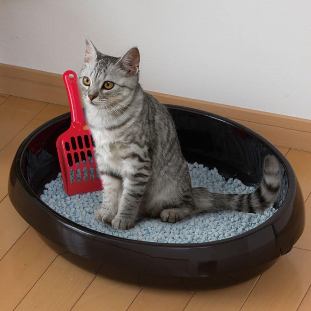 アイリスオーヤマ ネコのトイレ スコップ付き くろ M サイズ アイリスオーヤマ Iris Ohyama ペット用品 通販 Amazon