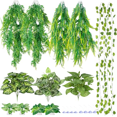 CousDUoBe Reptile Plant Set