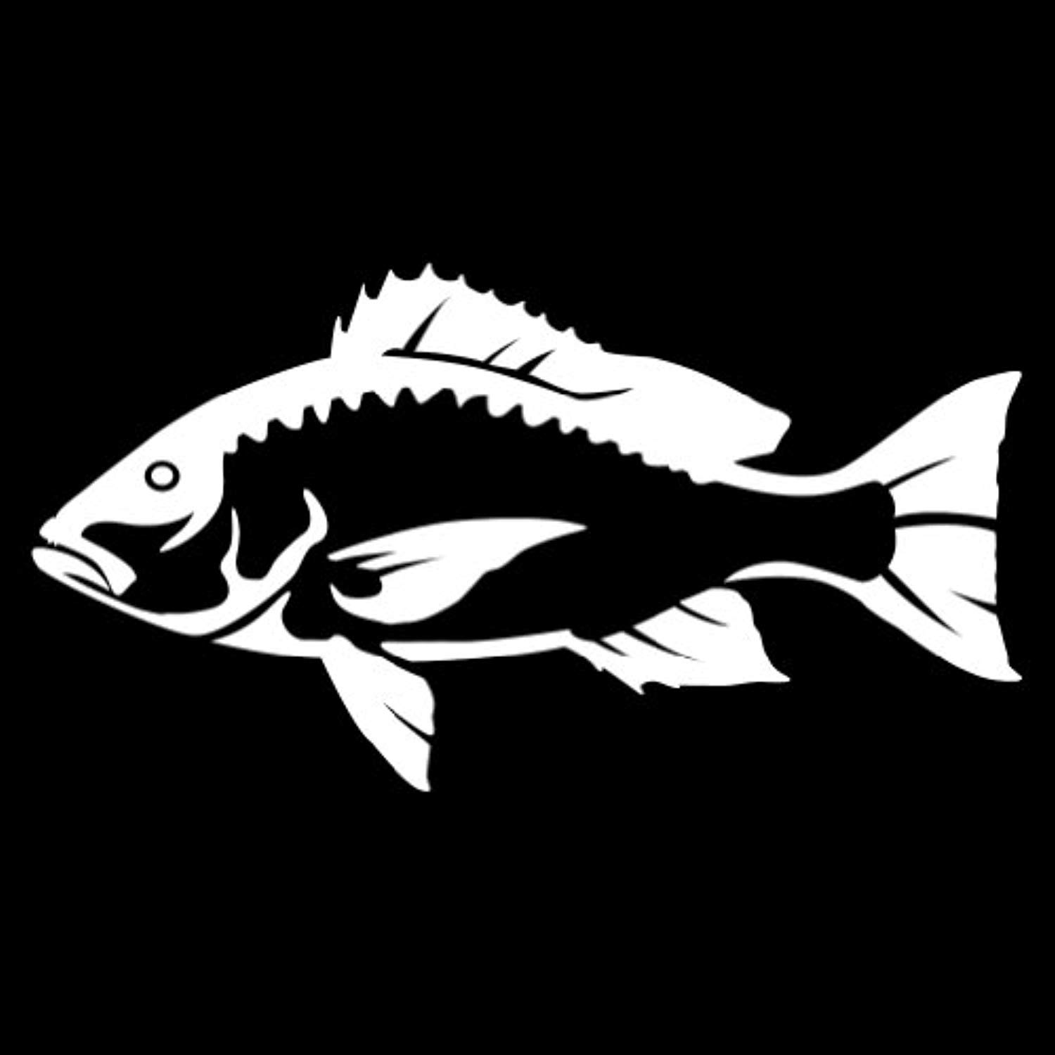 Red Snapper White Facing As Shown Saltwater Fish Collection Wall