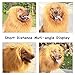 Lion Mane for Dog Large Medium with Ears Pet Lion Mane Costume Button Adjustable Holiday Photo Shoots Party Festival Occasion Light Brown