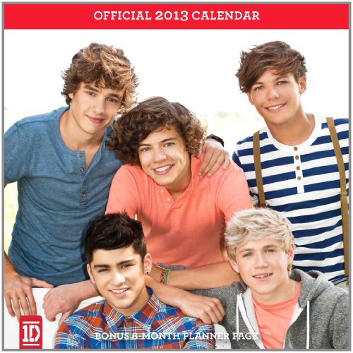 1D 2013 Mini