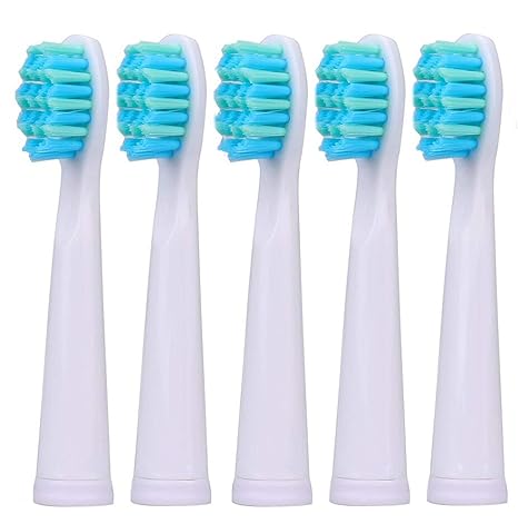 Amazon.com: New Sonic Electric Toothbrush USB Charge Rechargeable Tooth Brushes Value,BLACK: Beauty