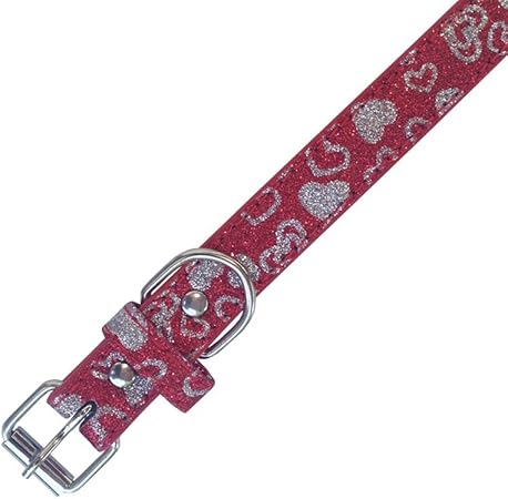 fashion dog collars and leashes